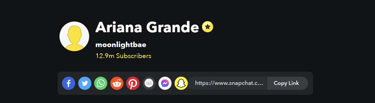 Snapchat verified account example Snapchat verified account example