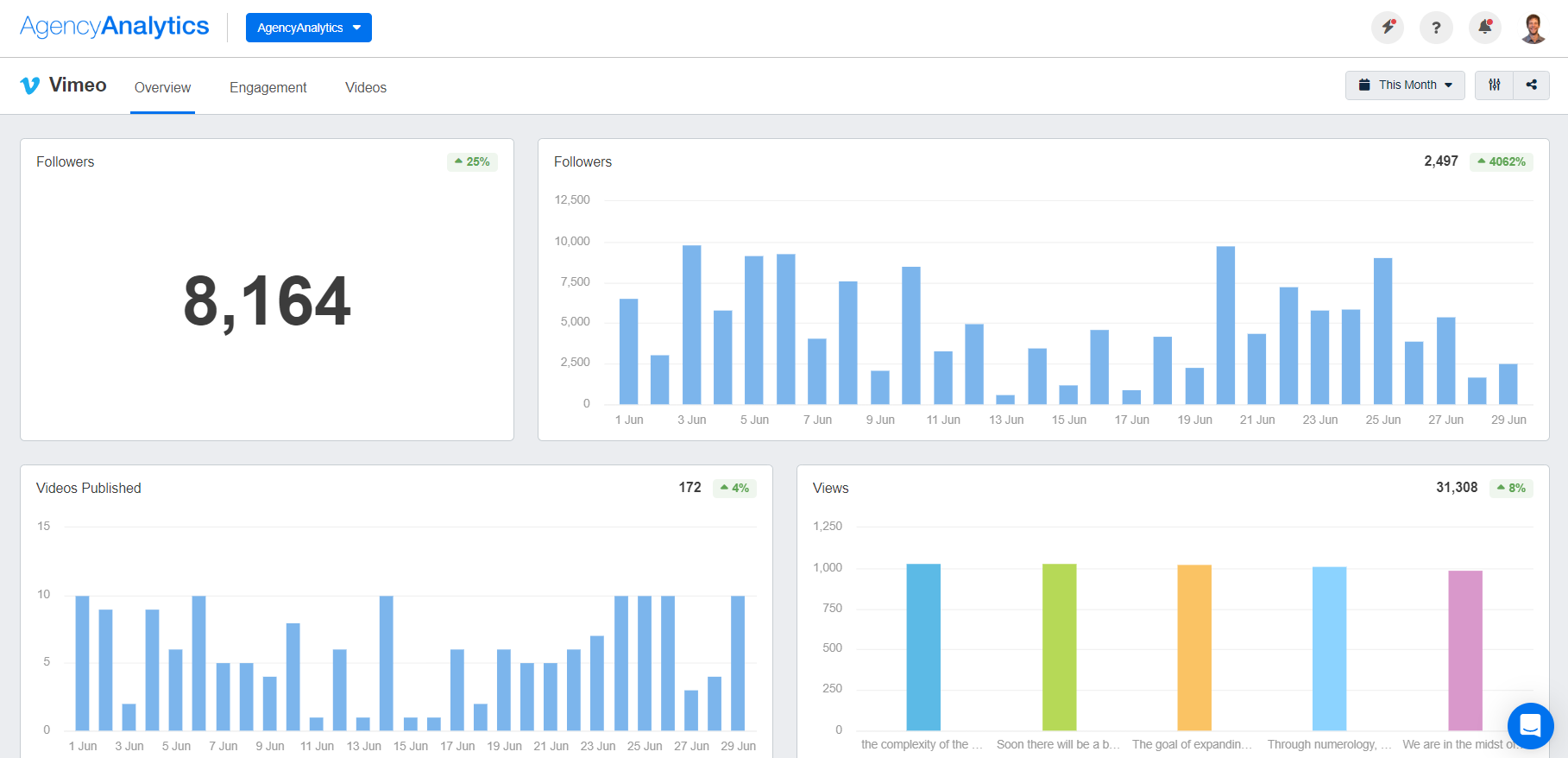 AgencyAnalytics - Vimeo Dashboard