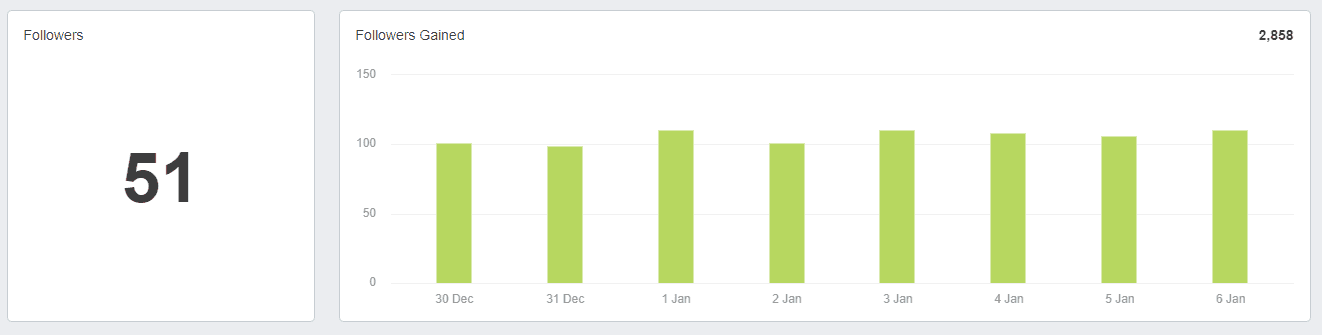 Instagram Follower Growth Report Example Instagram Follower Growth Report Example