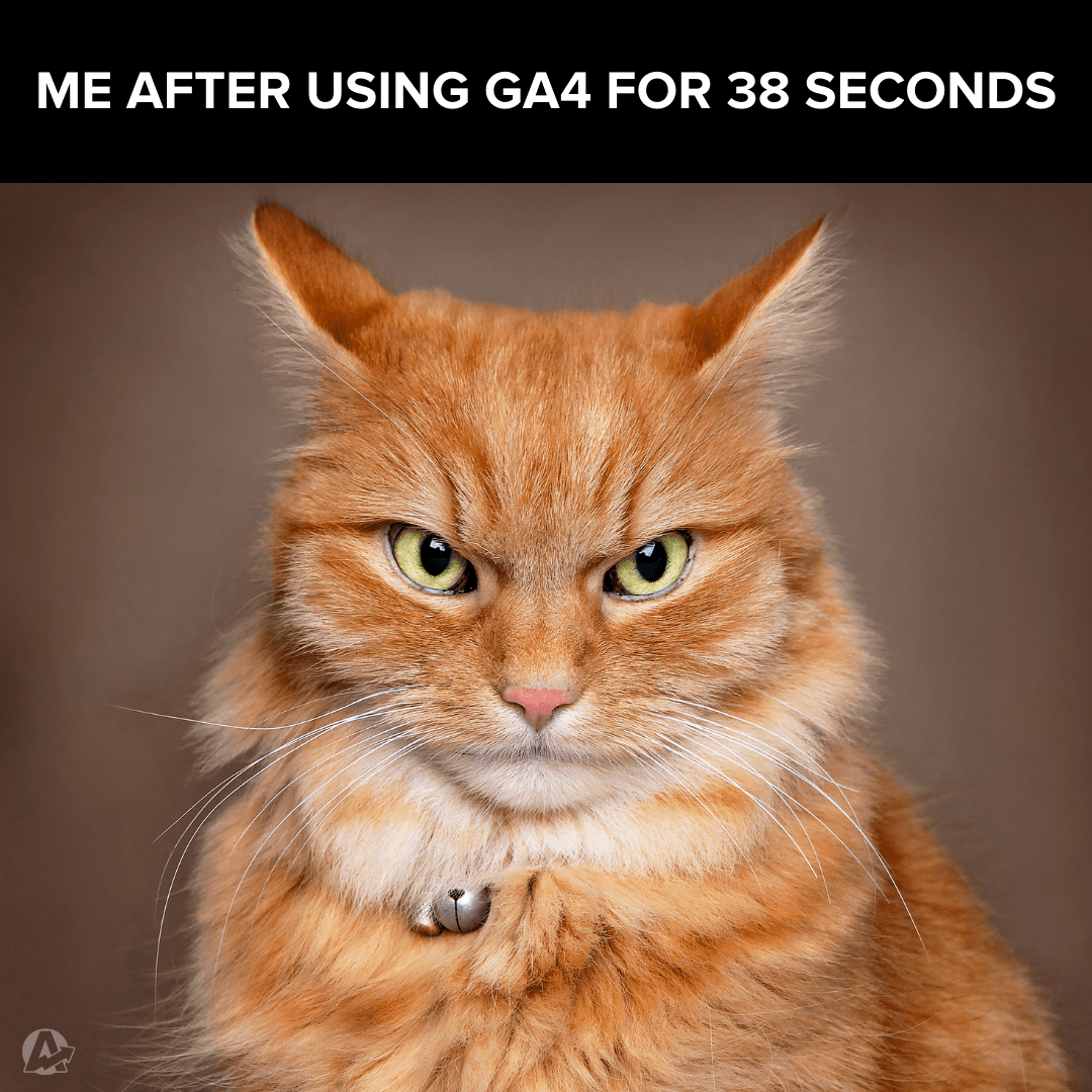 Google Analytics 4 GA4 Cat Meme Google Analytics 4 GA4 Cat Meme