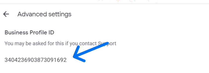 GBP business ID  GBP business ID