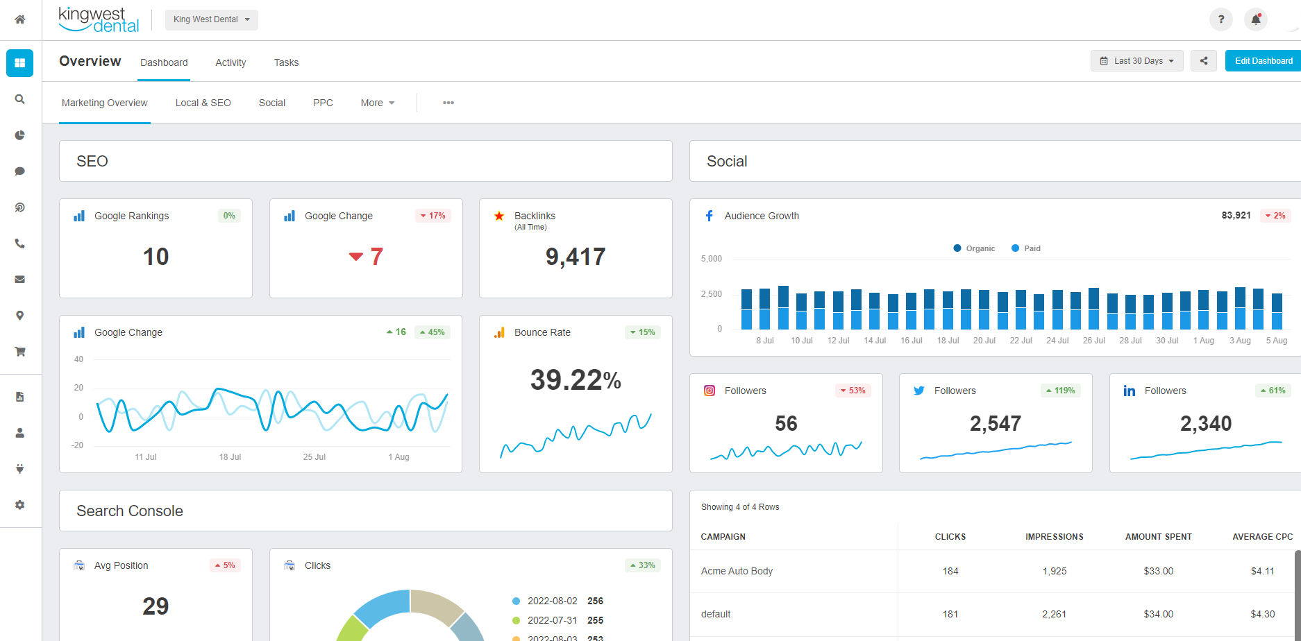 Dental Marketing Client Reporting Template