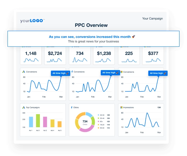 PPC Overview Report Template Example PPC Overview Report Template Example