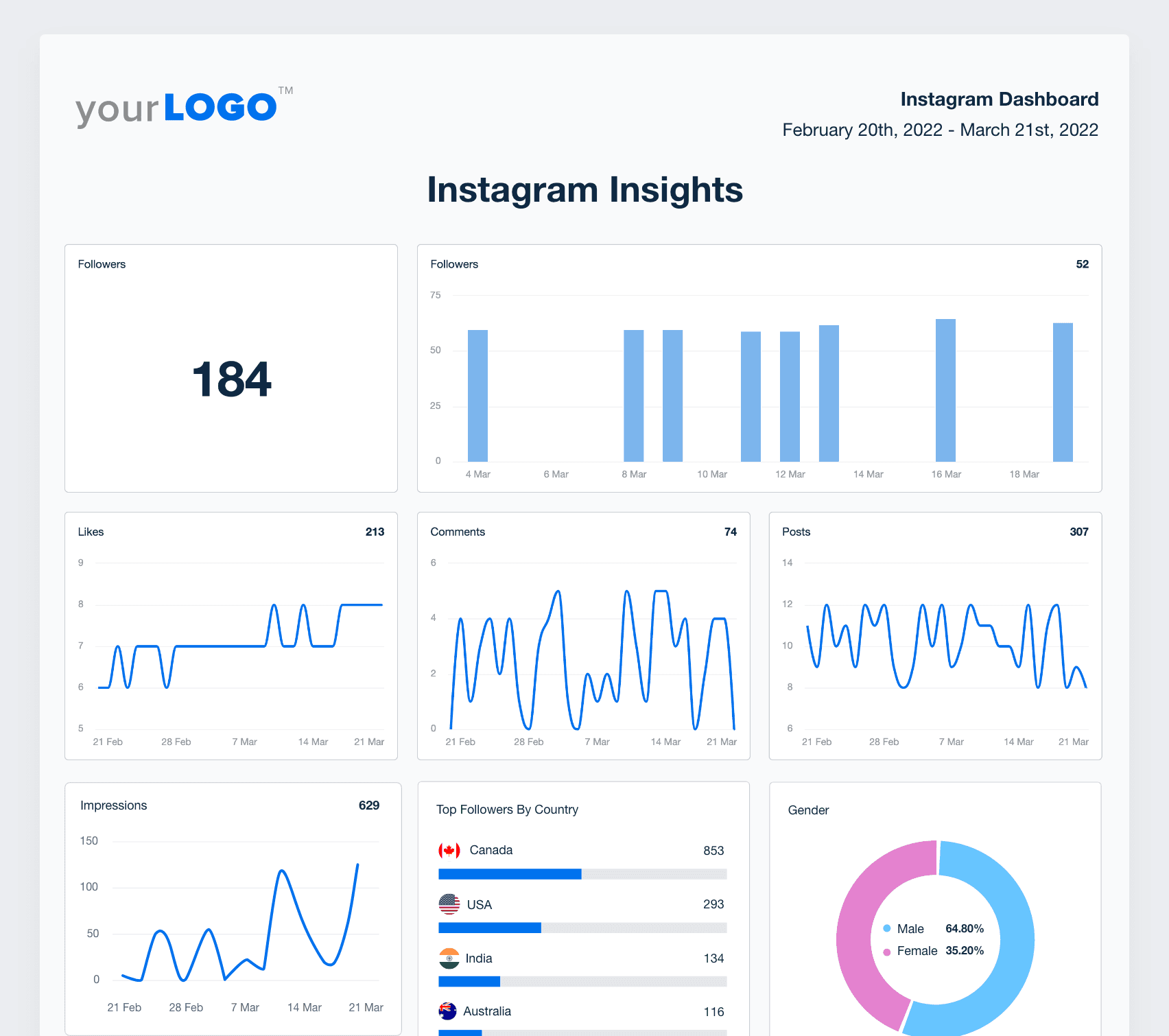 Instagram Insights Report Example